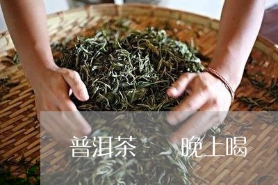 普洱茶  晚上喝/2023041117048